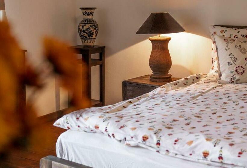 פנסיון Casa Schmidt