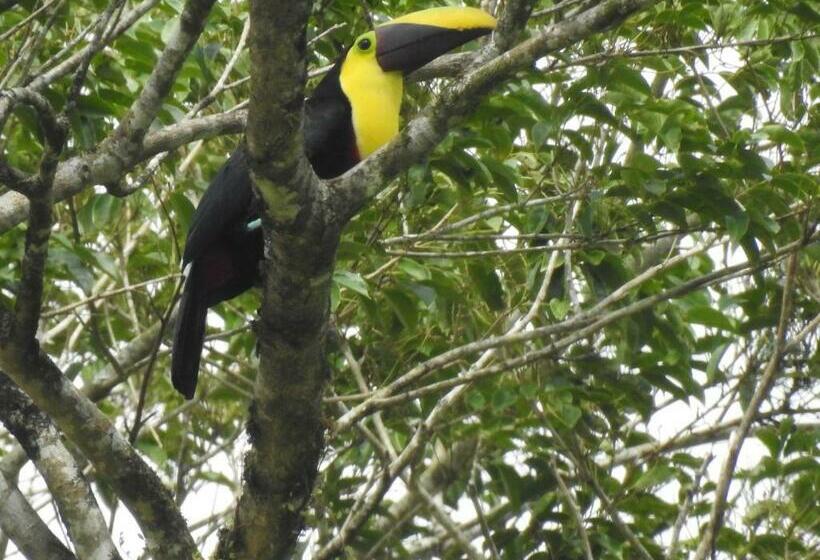هاستل Rio Celeste Backpackers