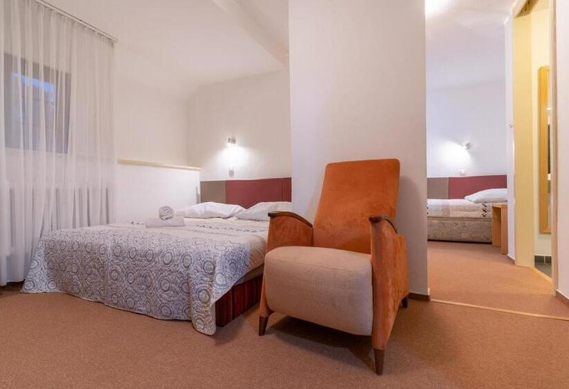 פנסיון Penzion Sykovec