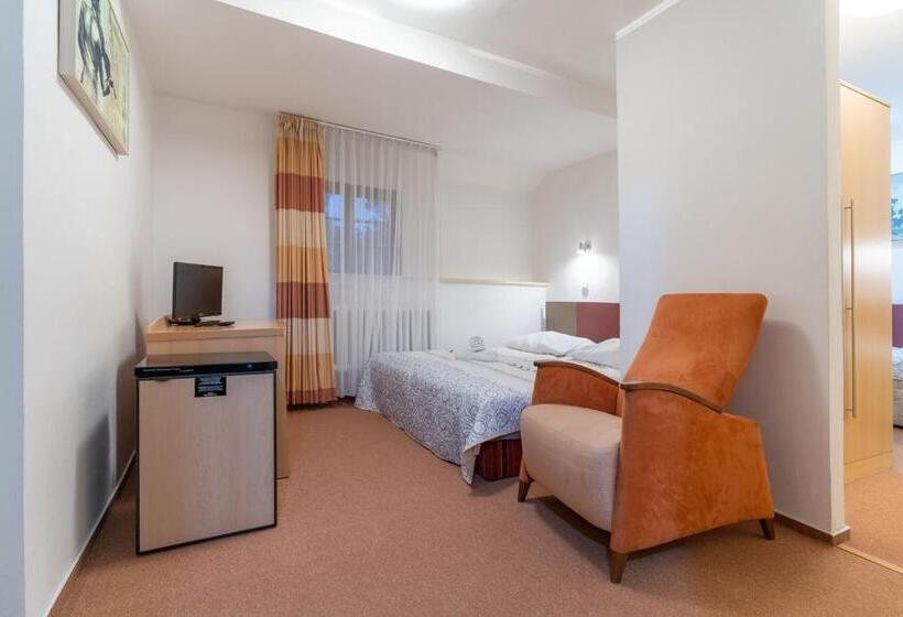 פנסיון Penzion Sykovec