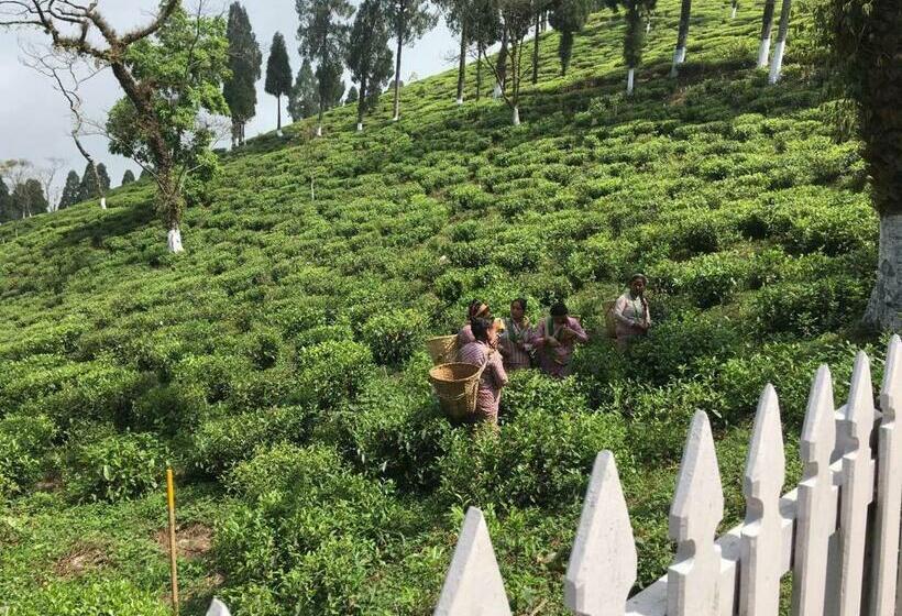 Курорт Sourenee Tea Estate