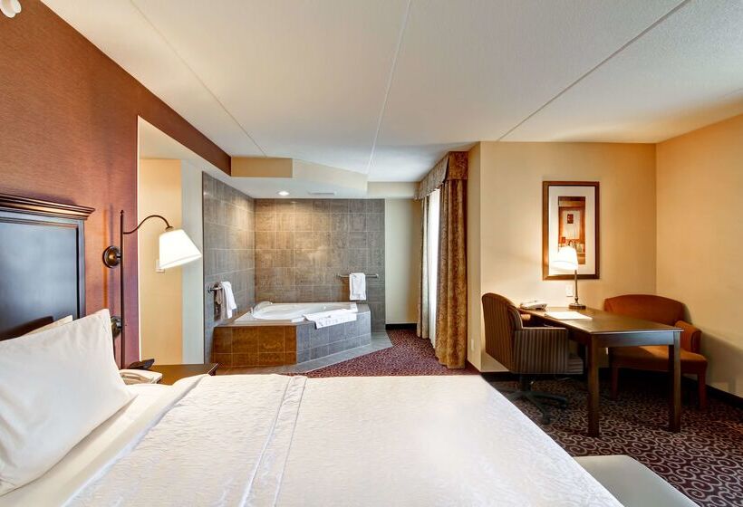 هتل Hampton Inn By Hilton Sudbury