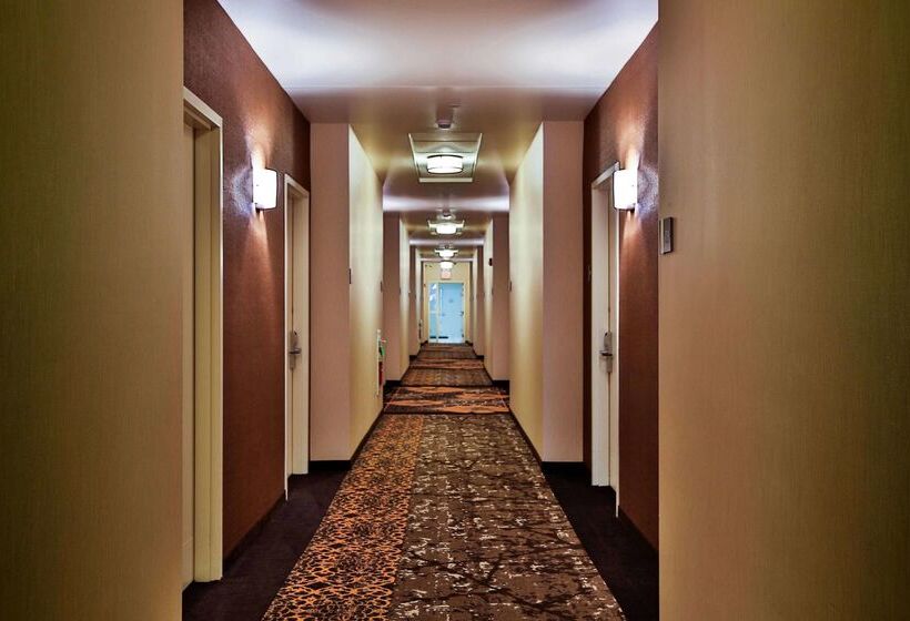בית מלון כפרי Hilton Garden Inn State College