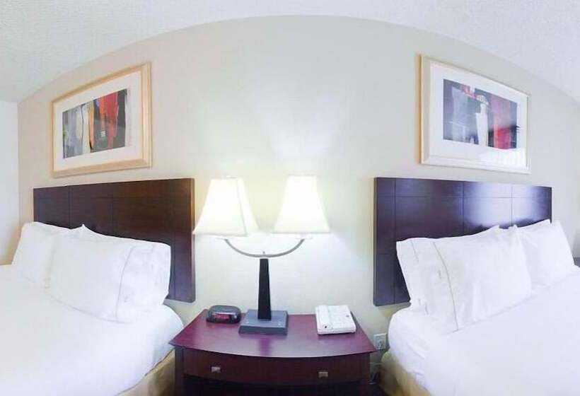 Holiday Inn Express Hotel & Suites   Atlanta/emory University Area, An Ihg