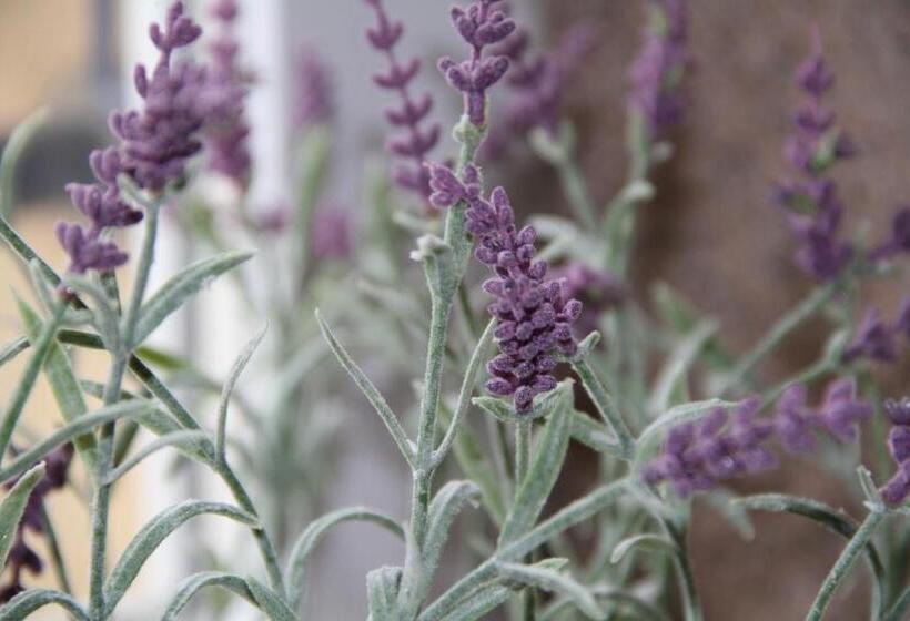 فندق Hôtel De L Ecluse