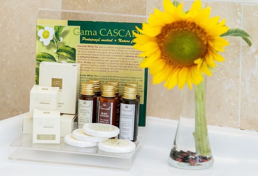 هتل International Bucharest City Centre