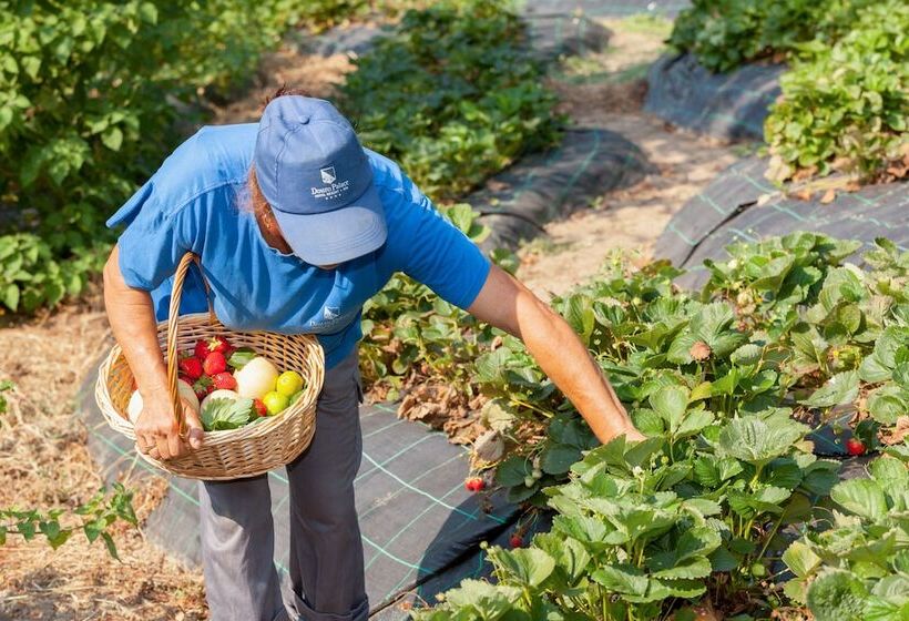 乡村酒店 Douro Palace Hotel Resort & Spa