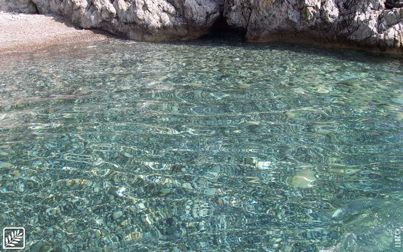 ホテル Torre Oliva