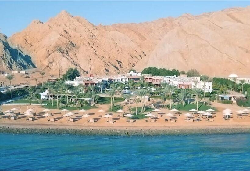 هتل Tropitel Dahab Oasis