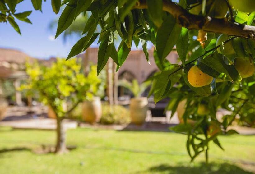 ریاض Ksar Ighnda