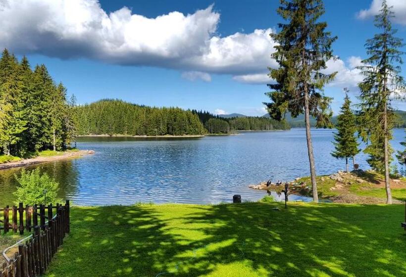 منتجع Romantica Forest Guest House