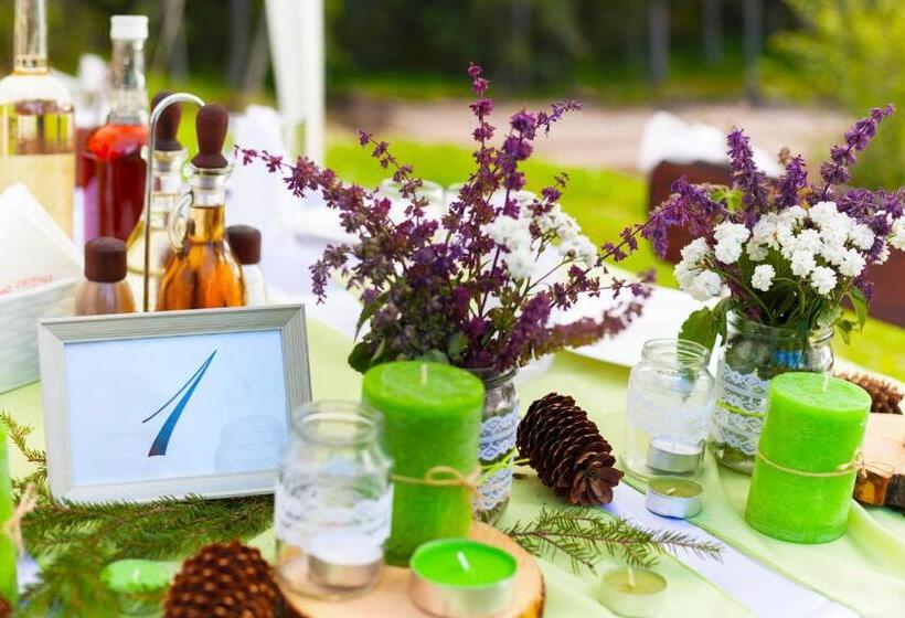 منتجع Romantica Forest Guest House