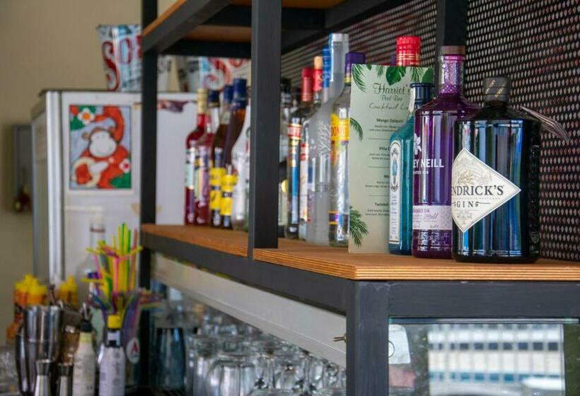 هتل Harriets Apartments