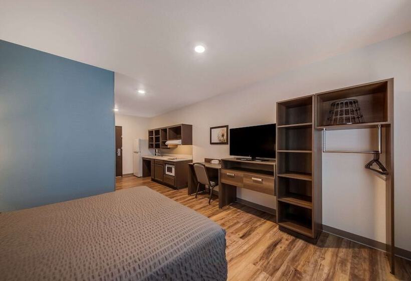 Отель Woodspring Suites Wesley Chapel Tampa