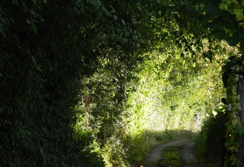 ホテル Cosy Glamping 4m Bell Tent In Rural Herefordshire