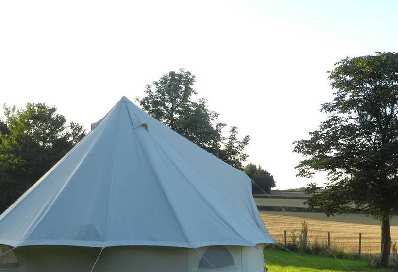 ホテル Cosy Glamping 4m Bell Tent In Rural Herefordshire