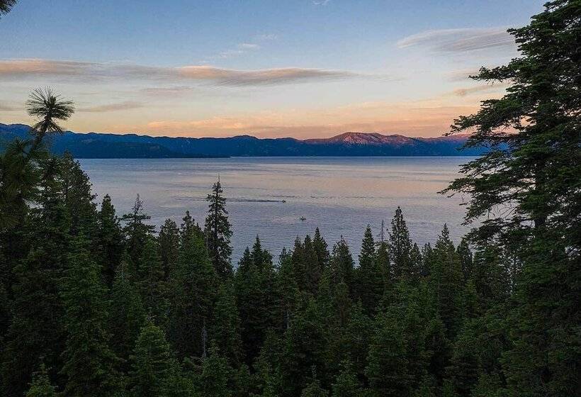 Shoreline Vista