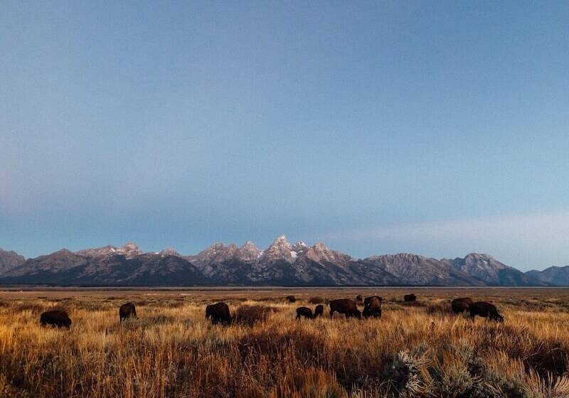 Отель Teton Peaks Resort