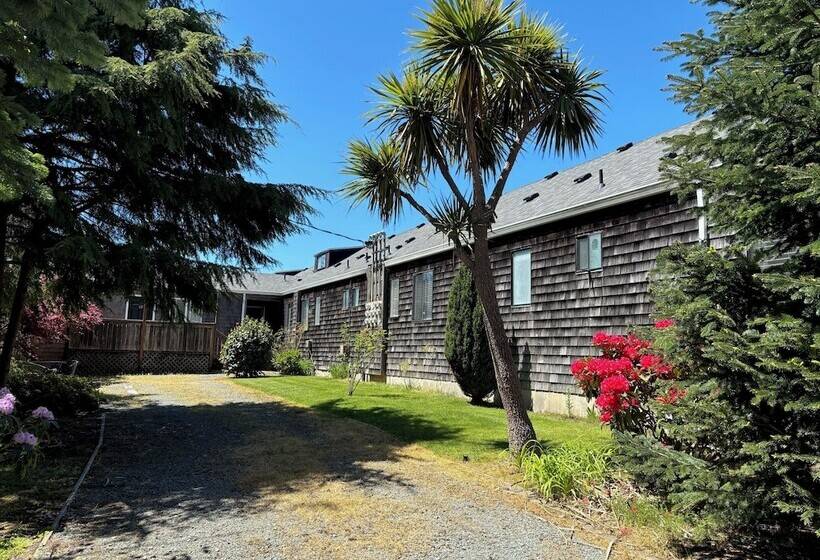 San Dune Inn
