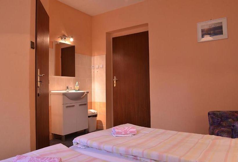 פנסיון Penzion Svojanov