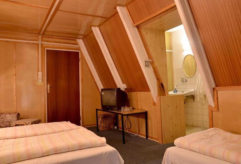 פנסיון Penzion Svojanov