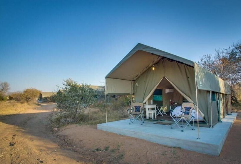 צימר Explorers Little Mongena Tented Camp