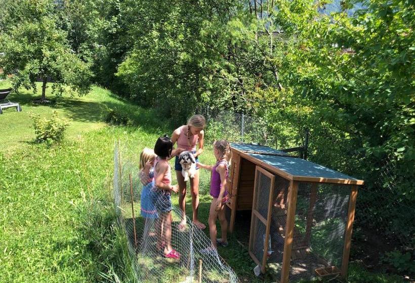 Alpenapart Montafon   Haus Engstler