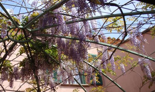 בית מלון כפרי Vert