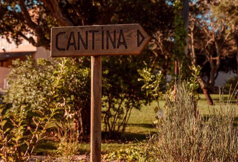 تختخواب و صبحانه La Vinia Bed&wine Experience   Adults Only