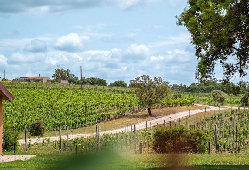 تختخواب و صبحانه La Vinia Bed&wine Experience   Adults Only