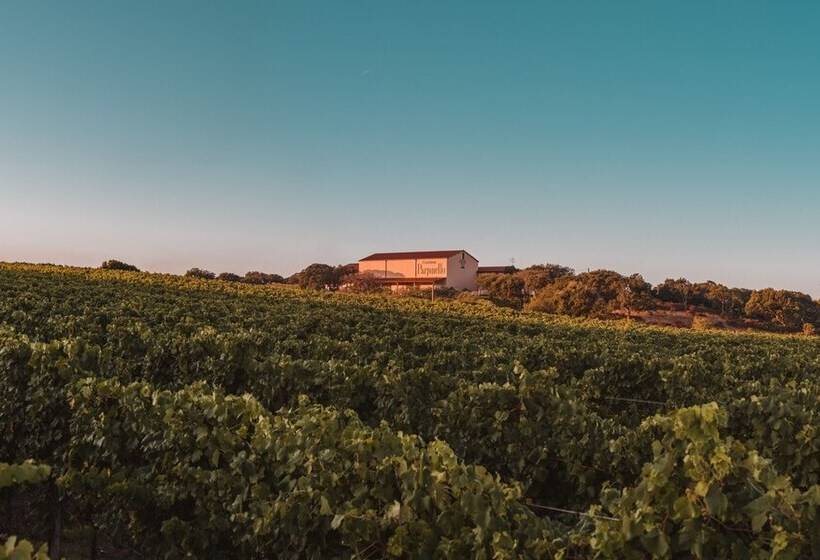 تختخواب و صبحانه La Vinia Bed&wine Experience   Adults Only