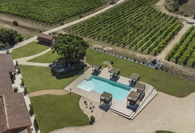 تختخواب و صبحانه La Vinia Bed&wine Experience   Adults Only