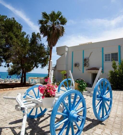Mojo Otel Beach