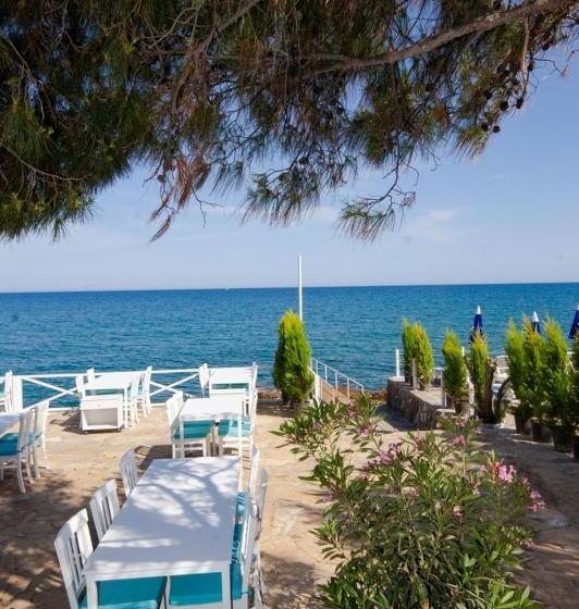 Mojo Otel Beach