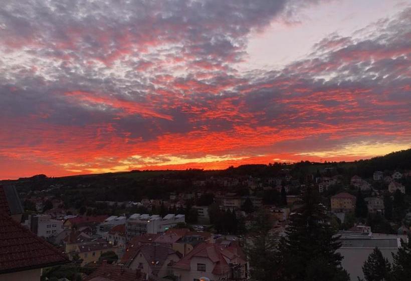 پانسیون Vila Kysuca