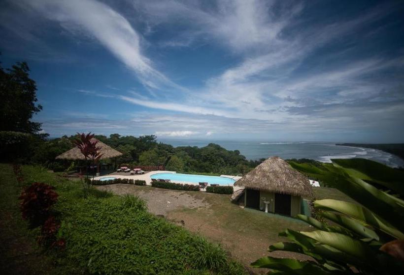 فندق Ballena Paraíso Lodge