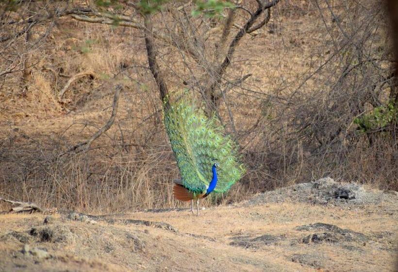 منتجع The Postcard Gir Wildlife Sanctuary