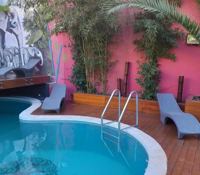 Bucanaan Hostel Boutique