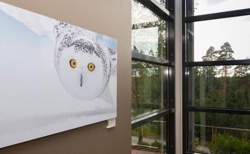 Haltia Lake Lodge Nature Boutique Hotel & Glamping