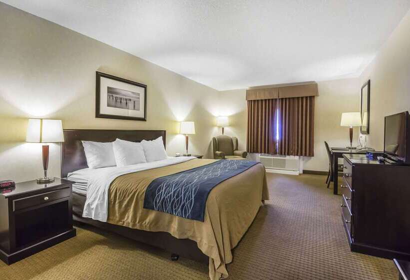 فندق Comfort Inn & Suites