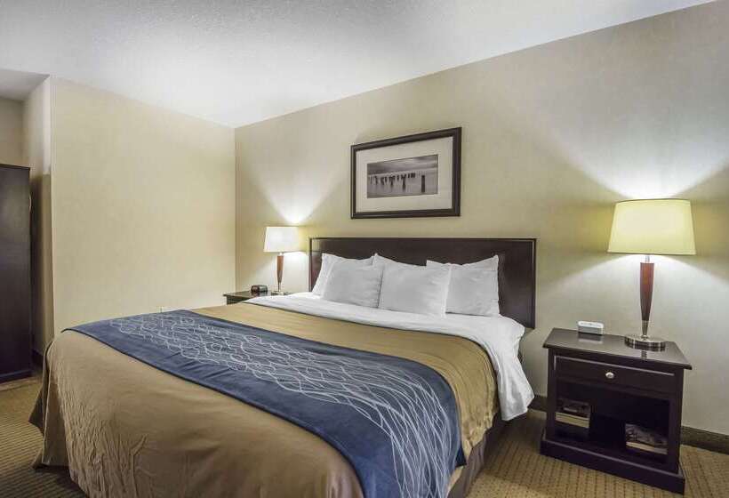 فندق Comfort Inn & Suites
