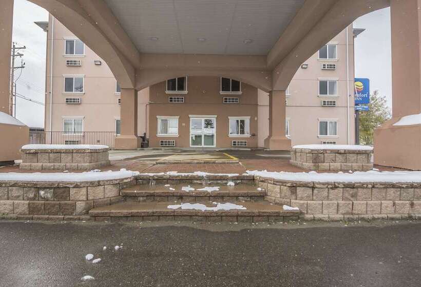 فندق Comfort Inn & Suites