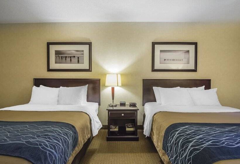 فندق Comfort Inn & Suites