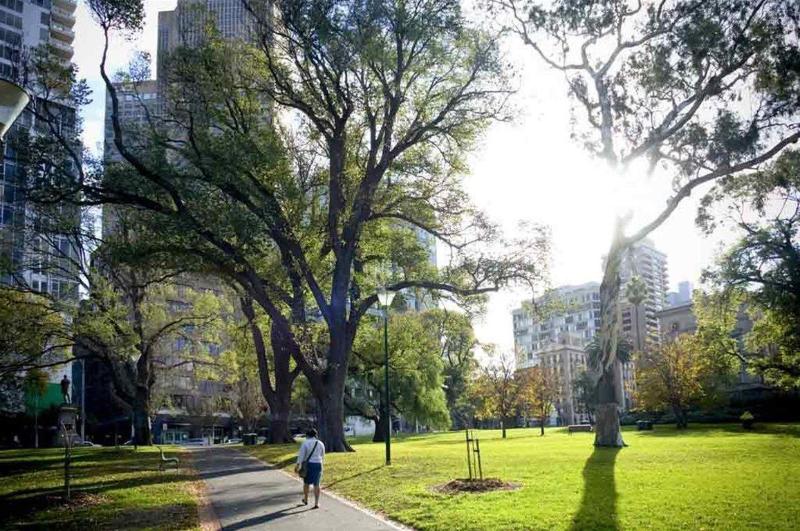 בית מלון כפרי Mercure Melbourne Therry Street