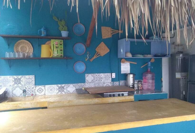 هاستل Hostal Jardin