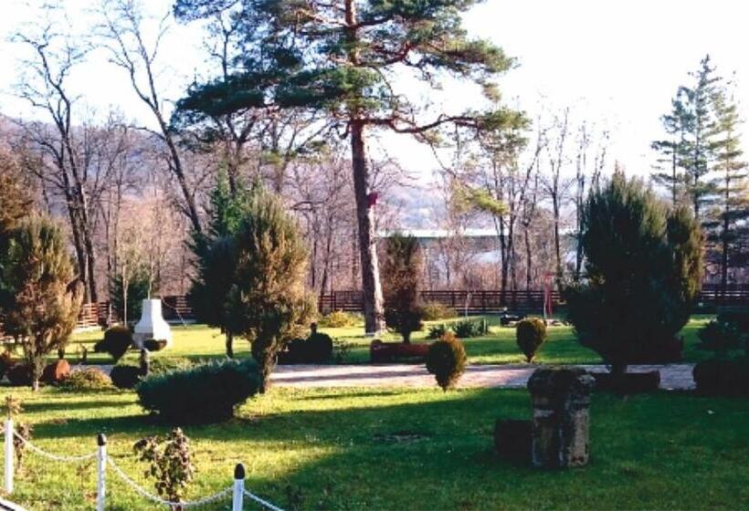 هتل Spa Cazino Monteoru