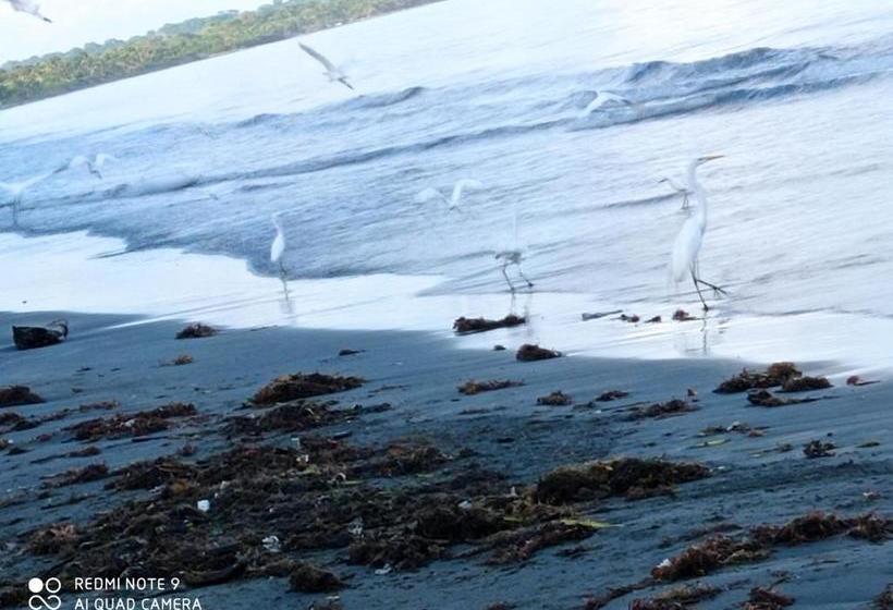 پانسیون Hostal Belleza Tropical