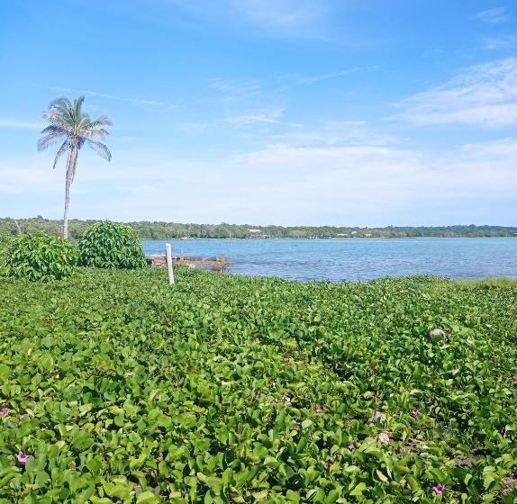 پانسیون Hostal Belleza Tropical