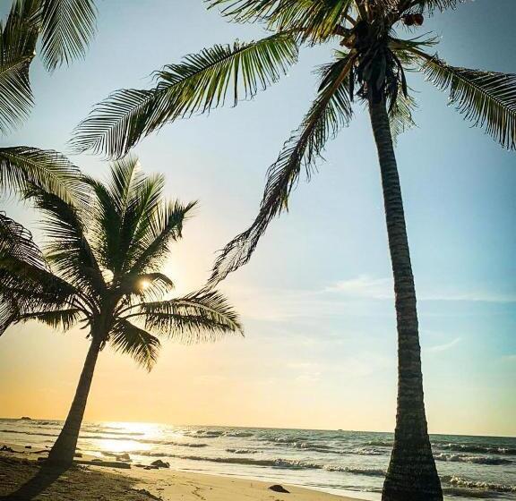 پانسیون Playa Jaguar   Beach Club