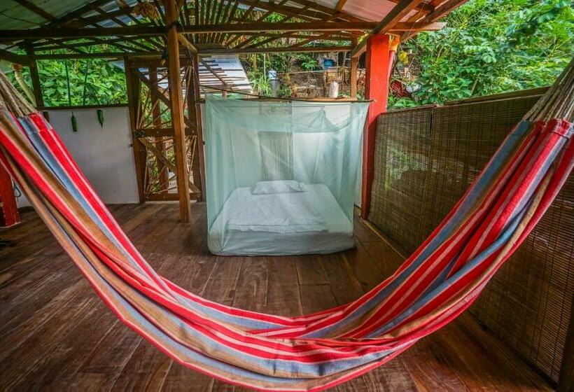 بنسيون Ecocabaña Rosa María